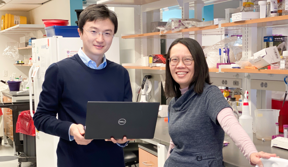 Post-doc Bing Zhang and Professor Ya-Chieh Hsu, Harvard stem cell scientists
