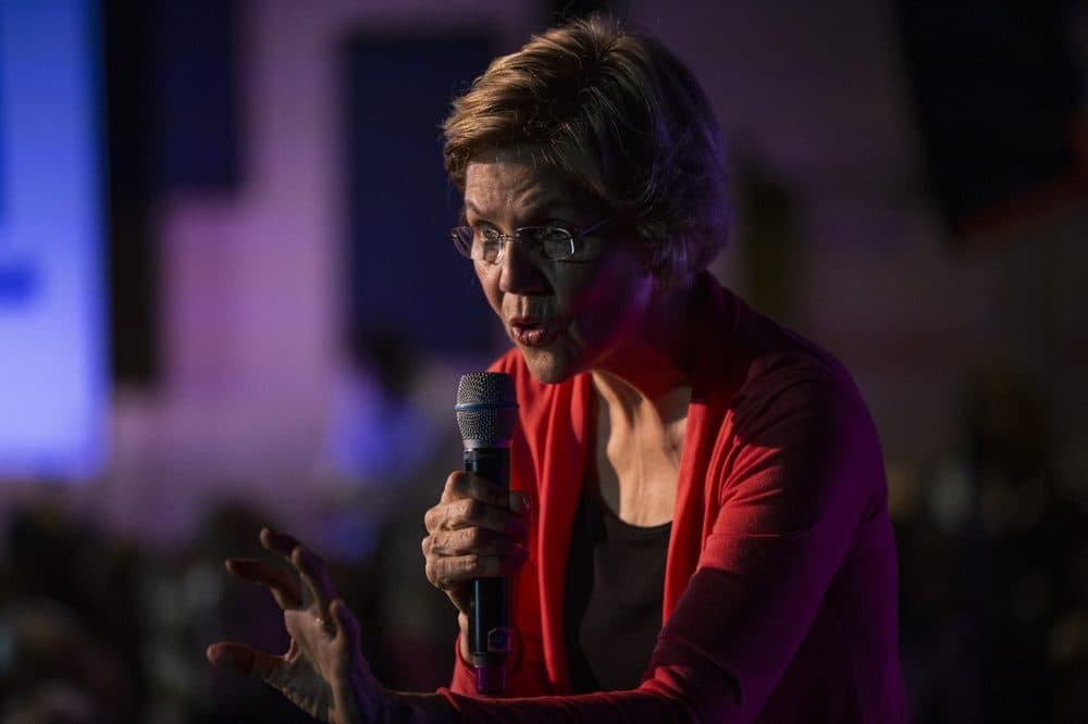 Warren speaks to her supporters. (Jesse Costa/WBUR)