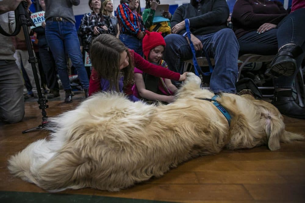 Bailey, Elizabeth Warren’s golden retriever, get some attention fron 8-year-olds Lila McGuirk and Juliet Duffield. (Jesse Costa/WBUR)