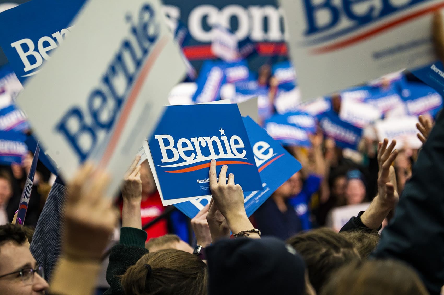 Bernie Sanders supporters wave Bernie signs as positive news that he is leading the pack during the New Hampshire Primary. (Jesse Costa/WBUR)
