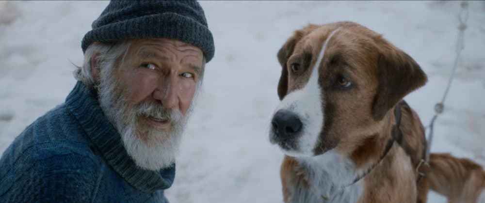 Harrison Ford as John Thornton with Buck in &quot;Call of the Wild.&quot; (Courtesy Twentieth Century Fox)