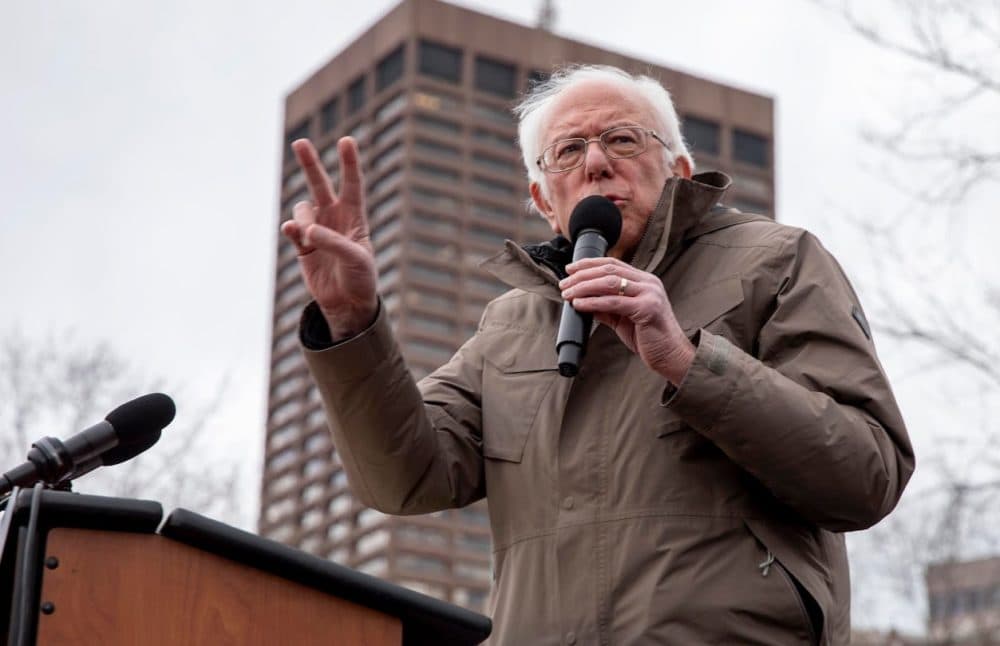 Sen. Bernie Sanders talks to supporters on Boston Common. (Robin Lubbock/WBUR)