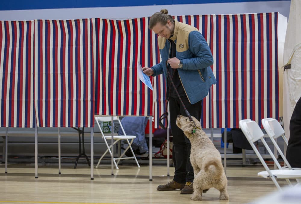 Alex Stoyle votes in the New Hampshire primary with his goldendoodle Piper at a polling place in Concord. (Joe Difazio for WBUR)