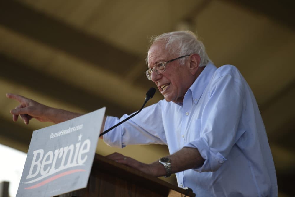 Democratic presidential contender Bernie Sanders addresses a Medicare for All town hall campaign event on Friday, Aug. 30, 2019, in Florence, S.C. (Meg Kinnard/AP)