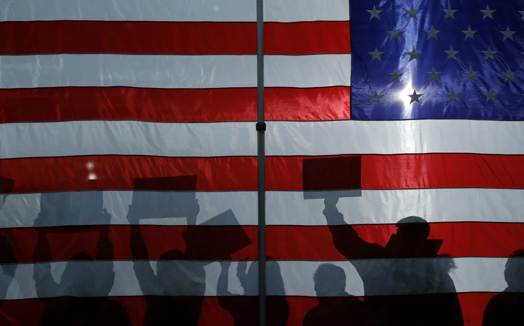 A Progressive Activists’ Guide To 2020