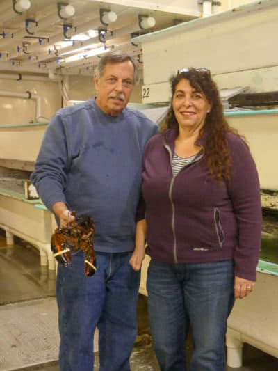 Stephanie Nadeau and Mike Marceau of The Lobster Company say their business has been hit by the retaliatory tariffs that China placed on U.S. lobsters. (Karyn Miller-Medzon/Here &amp; Now)
