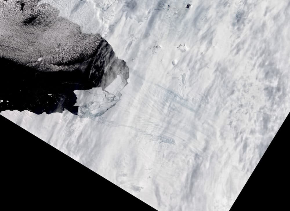 Pine Island Glacier in Antarctica spawns new iceberg on February 11, 2020. (Courtesy of NASA)