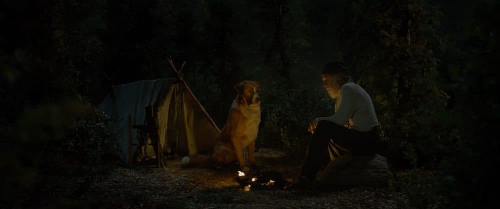 Harrison Ford as John Thornton with Buck in &quot;Call of the Wild.&quot; (Courtesy Twentieth Century Fox)