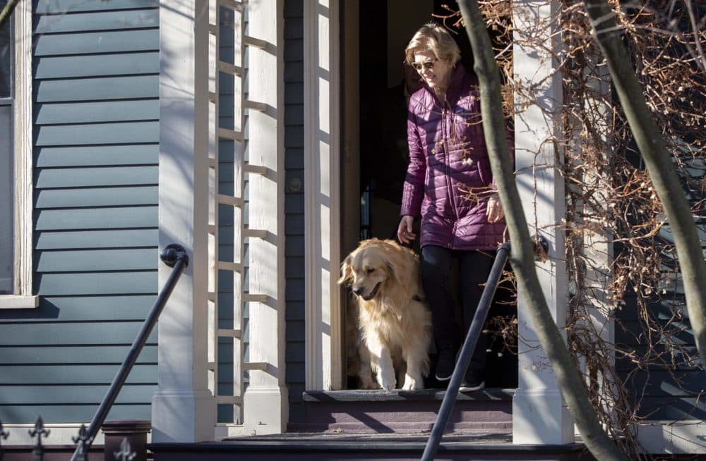 Sen. Elizabeth Warren and Bailey set out to vote in the Massachusetts primary. (Robin Lubbock/WBUR)