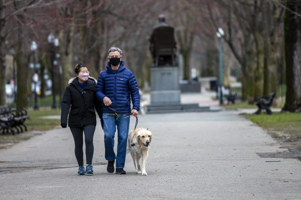 Shan Soe-Lin and Robert Hecht out for an afternoon stroll with Spud down the Commonwealth Avenue Mall. (Jesse Costa/WBUR)