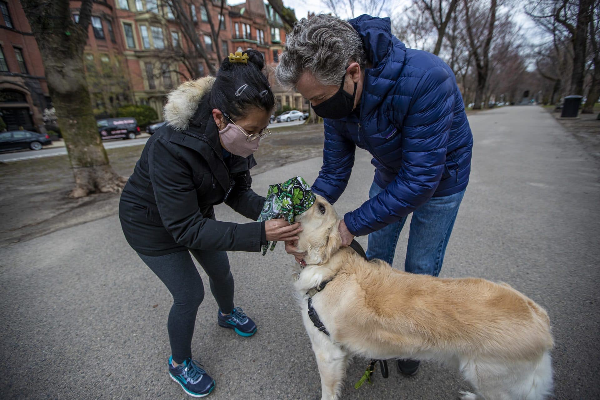 March 25: Shan Soe-Lin and Robert Hecht put a mask on their dog Spud while walking the Commonwealth Avenue Mall. (Jesse Costa/WBUR)