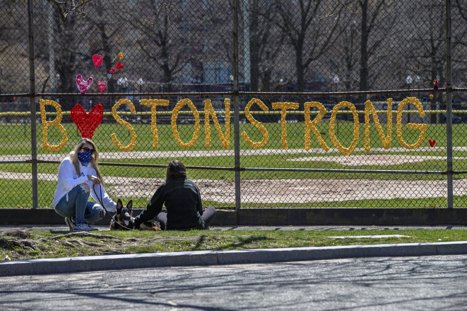 April 5: Bex and Vanessa Kennedy sit with their German Shepard Niko in front of a yarn sculpture on the fence in Boston Common. (Jesse Costa/WBUR)