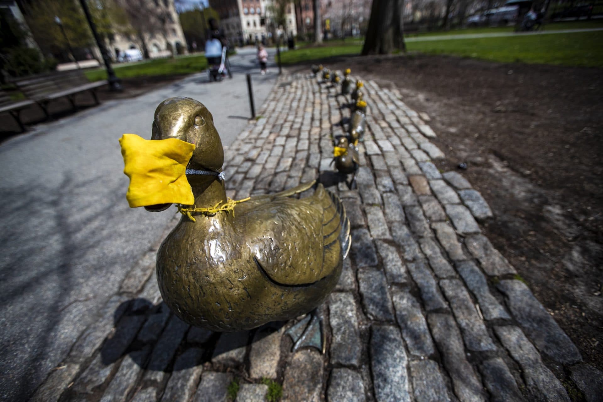 April 10: Even the ducks of the “Make Way For Ducklings” sculpture in the Boston Public Garden have donned yellow masks. (Jesse Costa/WBUR)