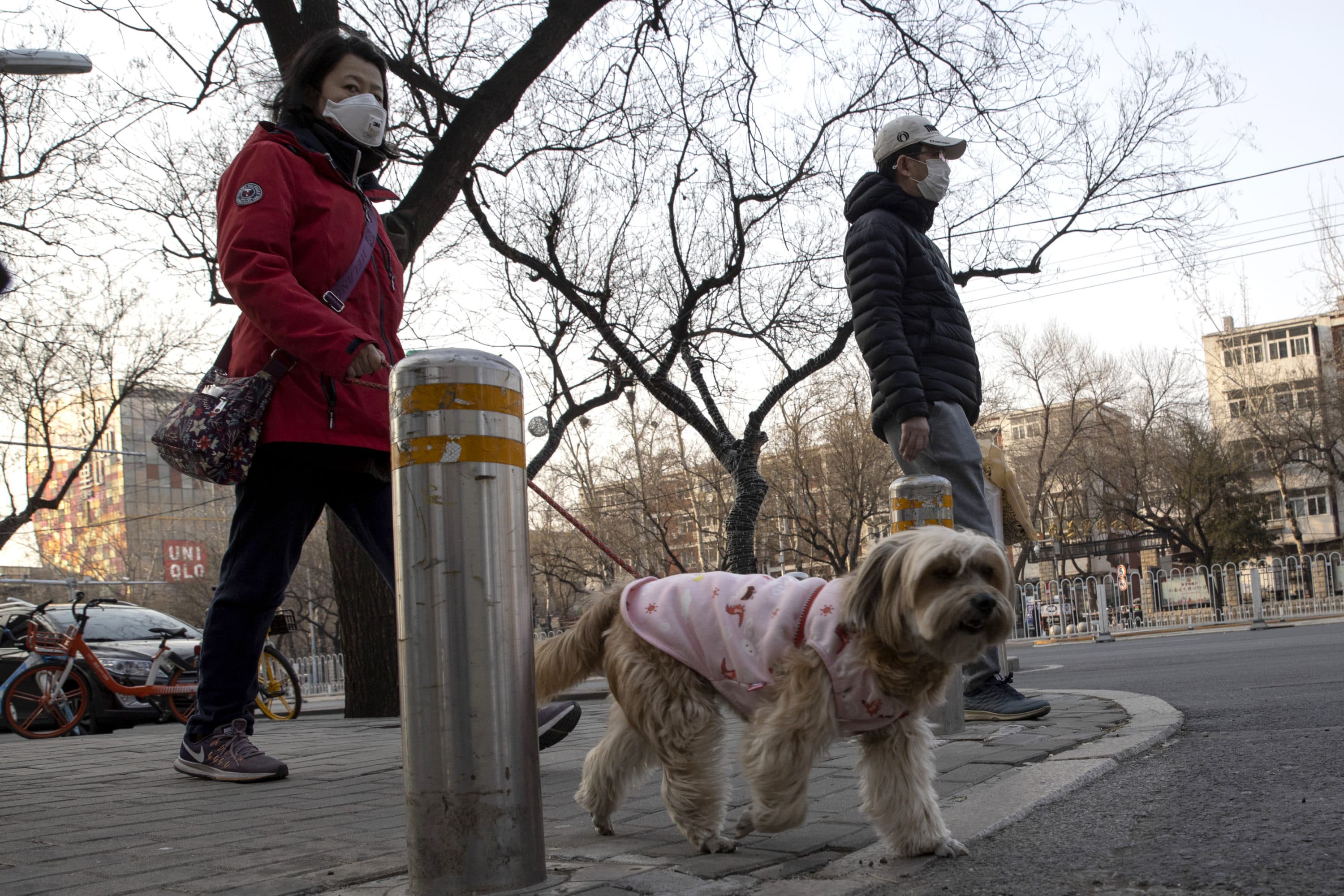 A resident wearing a mask walks her dog on the streets of Beijing on Thursday, March 5, 2020. (Ng Han Guan/AP)