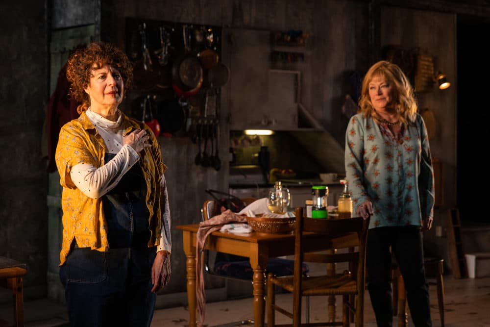 Paula Plum and Karen MacDonald in &quot;The Children&quot; at SpeakEasy Stage Company. (Courtesy Maggie Hall Photography)