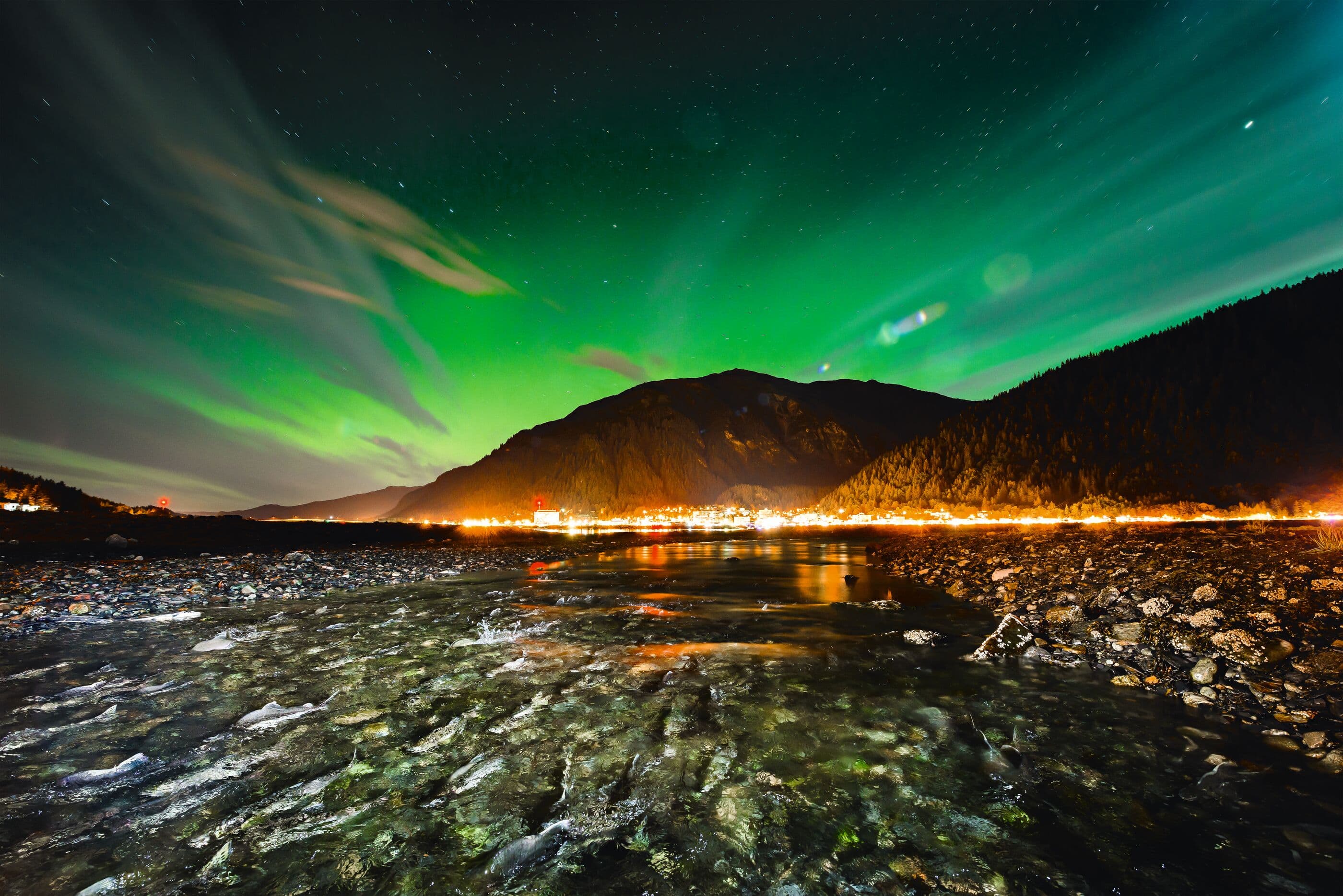 Pink salmon swimming up Lawson Creek to spawn under the northern lights, while Juneau, Alaska, is lit up in the background. (Credit: Christopher Miller) 