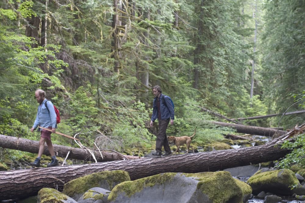 A still from Kelly Reichardt's film &quot;Old Joy.&quot; (Courtesy Harvard Film Archive)