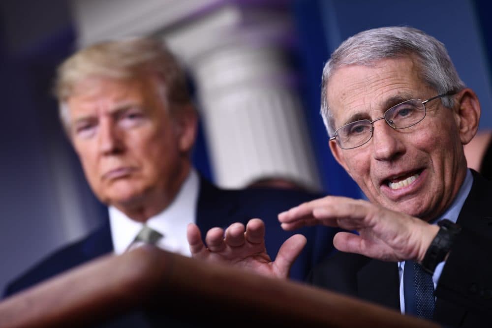 Dr. Fauci has been the NIAID Director since 1984. (Brendan Smialowski/AFP via Getty Images)