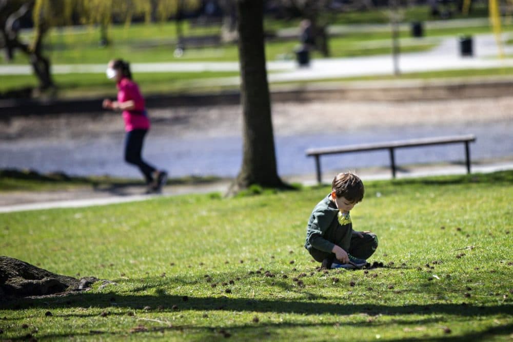 A young boy digs in the grass with stick in the Boston Public Garden in April. (Jesse Costa/WBUR)
