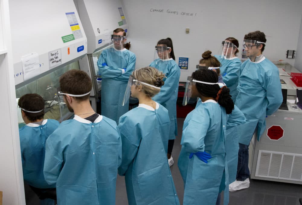 Lab technicians learning to test for the COVID-19 virus at the Broad Institute. Credit: Scott Sassone, Broad Institute