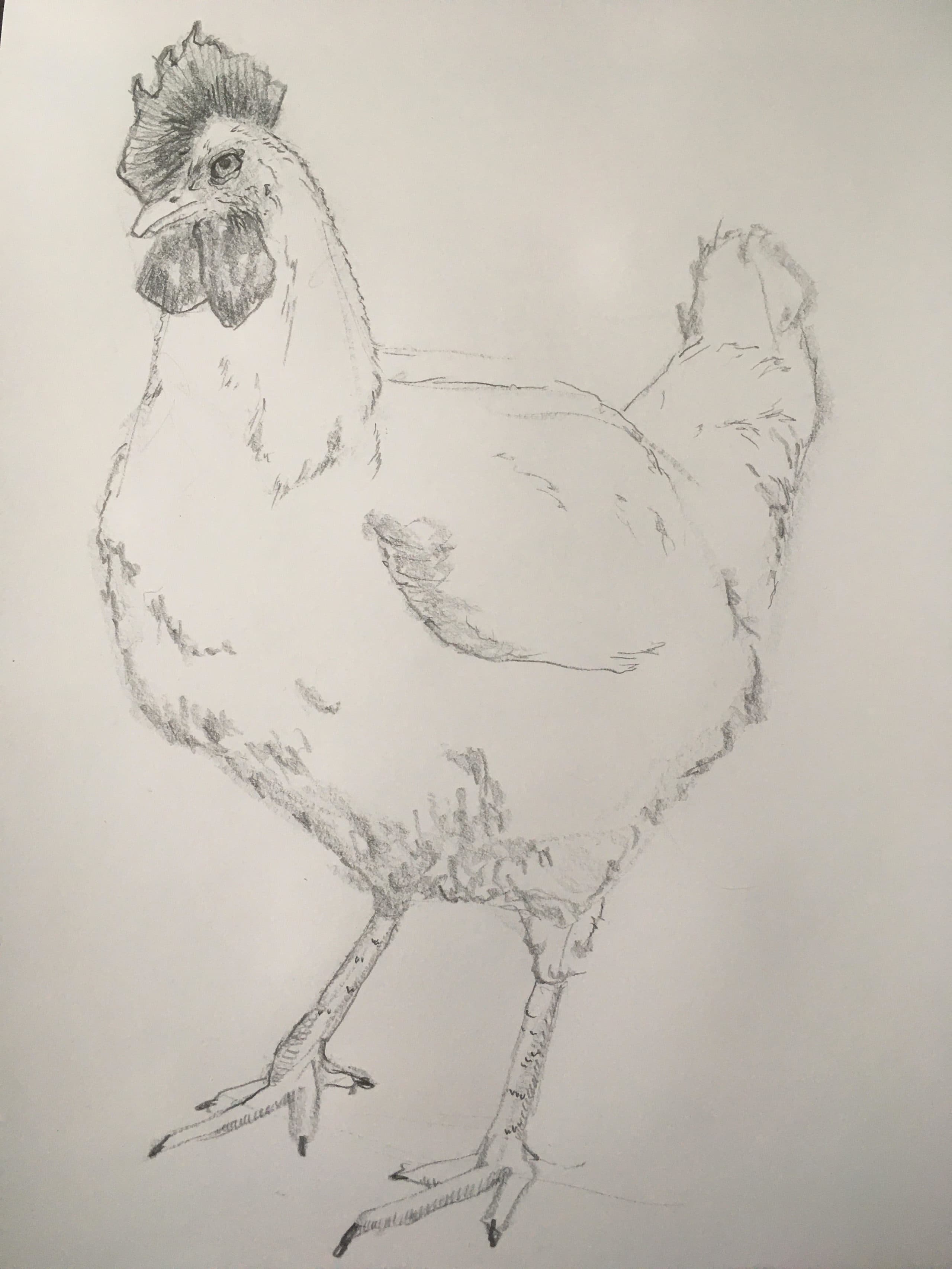 "Bok Bok" by Ellen Adams. (Courtesy Chuck Stigliano)