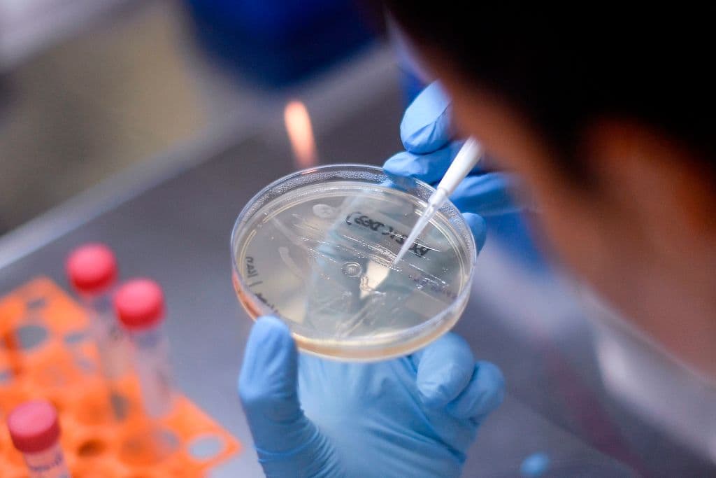 Disorganized Research Slows Discovery Of COVID-19 Treatments, Experts Say