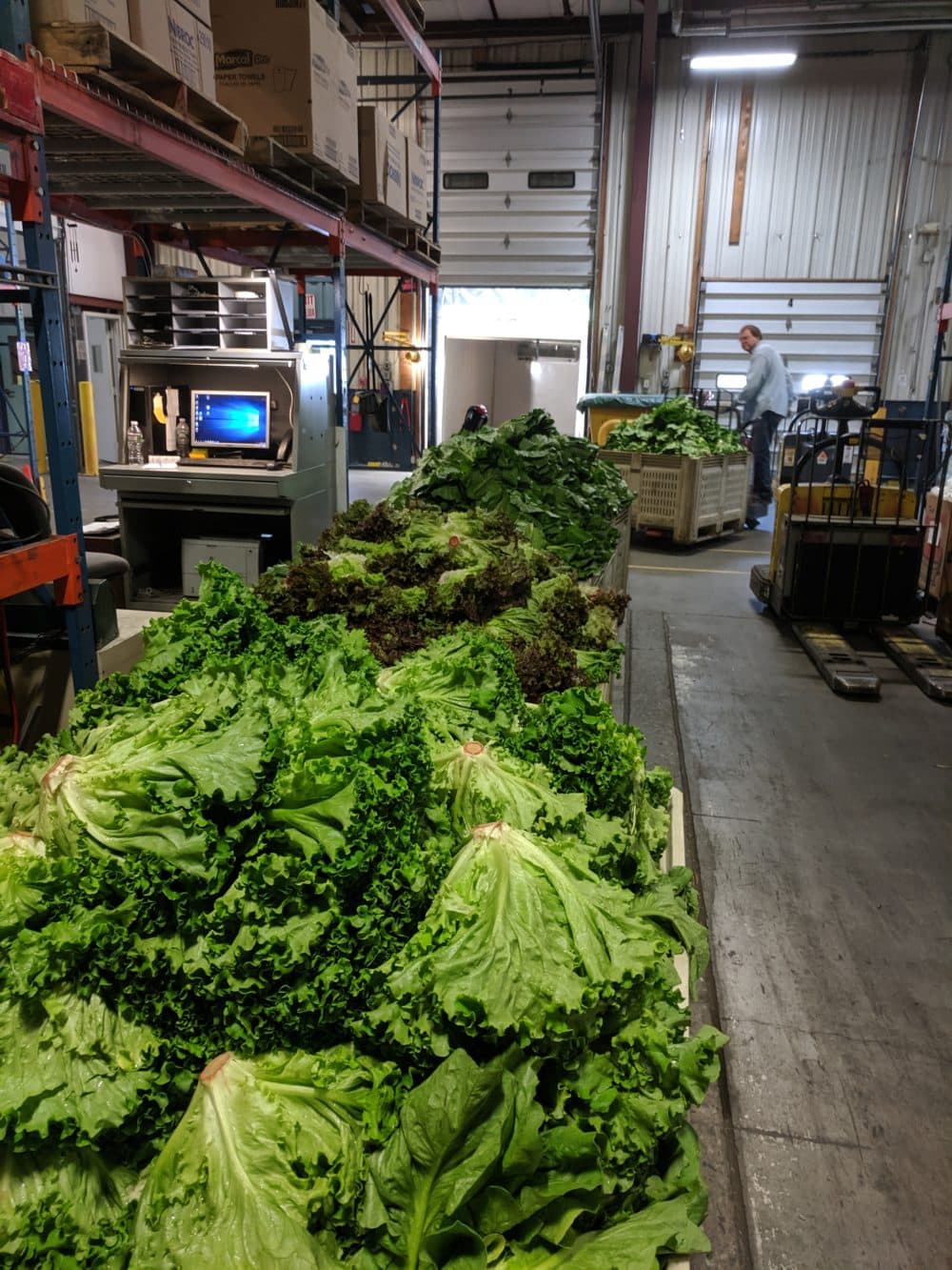 The Food Bank of Western Massachusetts distributes on average a total of one million pounds of food each month. Annually, 12 million pounds is distributed, 30% of which is fresh produce. (Courtesy the Food Bank of Western Massachusetts)