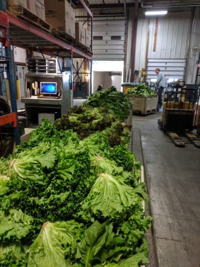 One million pounds of locally grown produce are distributed through the Food Bank of Western Massachusetts each month. (Courtesy the Food Bank of Western Massachusetts)