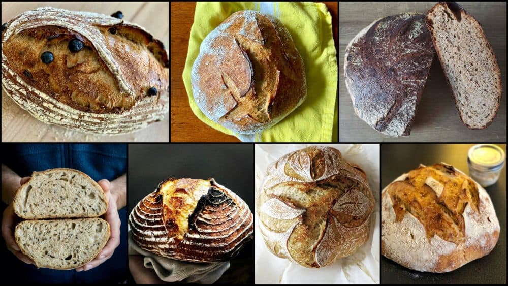 Loaves of bread baked by followers of the #quarantinystarter project. (Courtesy Andrew Janjigian)