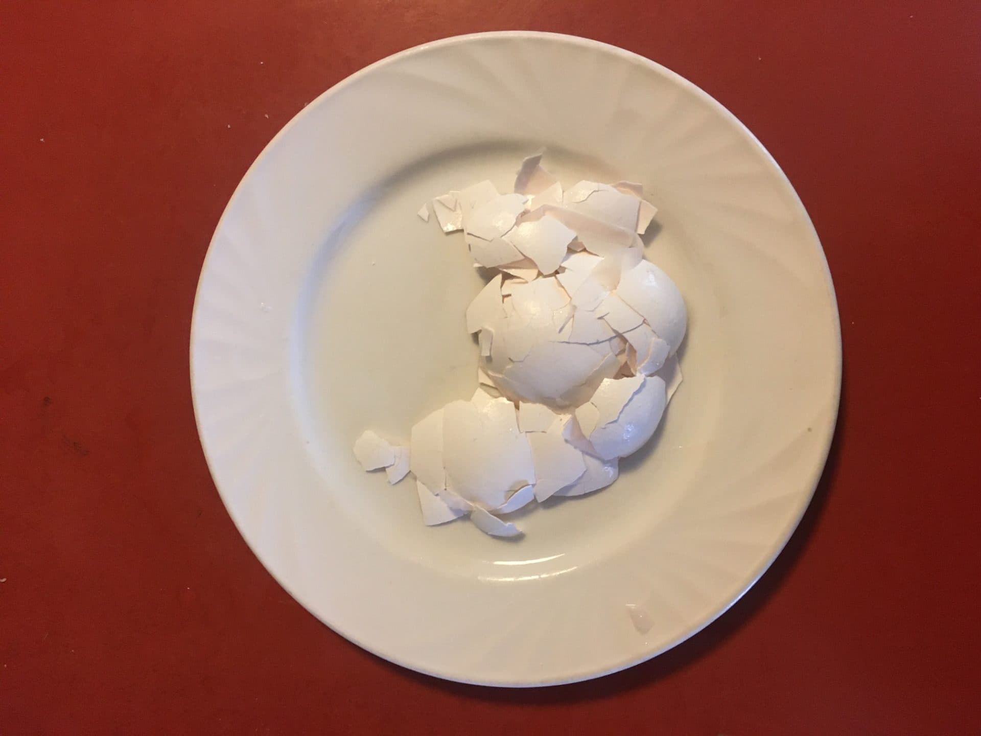 "Which came first, the chicken or the egg" by Sara Micciche (Courtesy Chuck Stigliano)