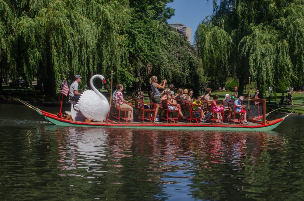 The swan boats opening day was scheduled for Sat., April 18. (Sharon Brody/WBUR)