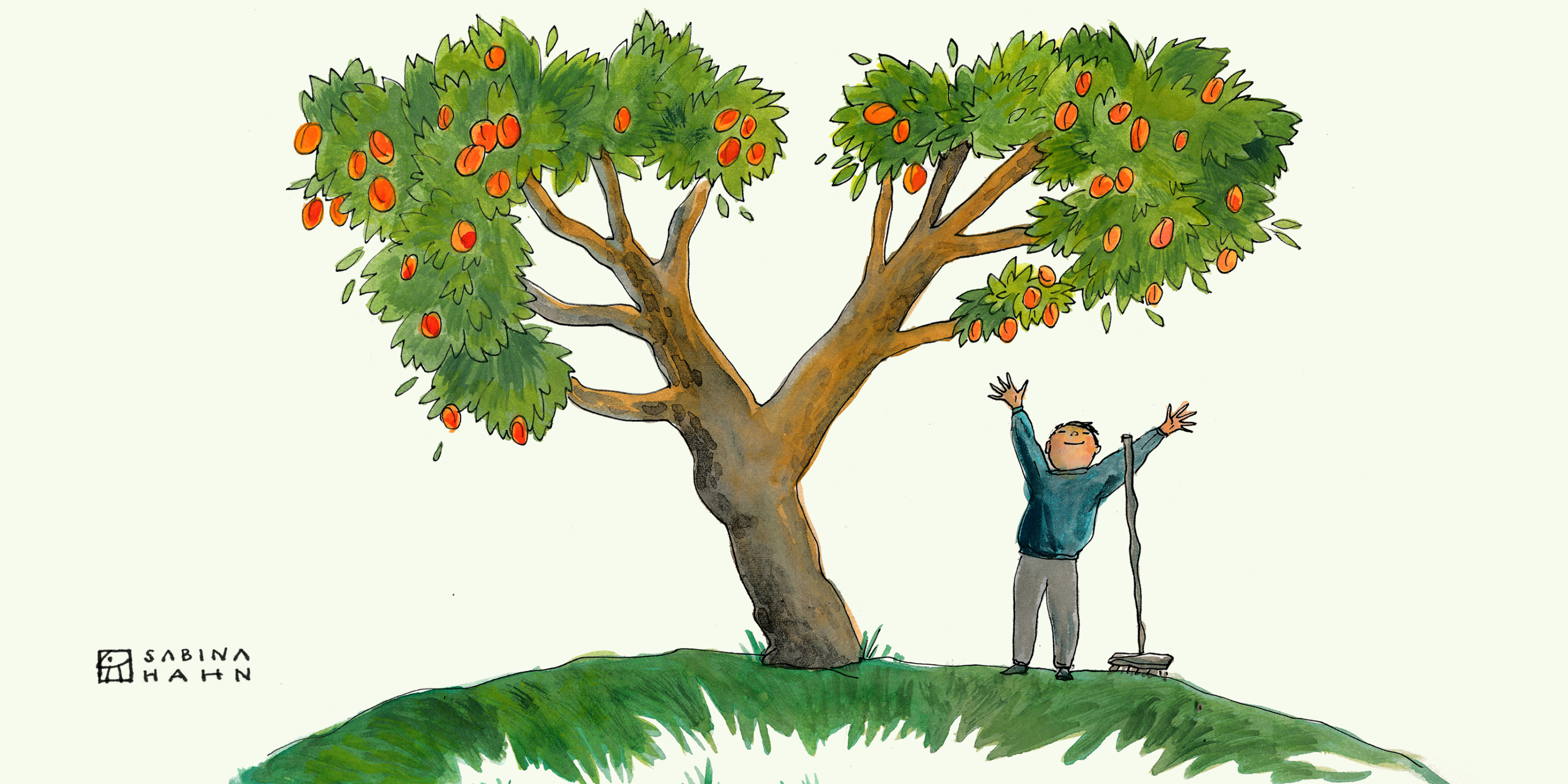  Shortie: 'The Money Tree' 