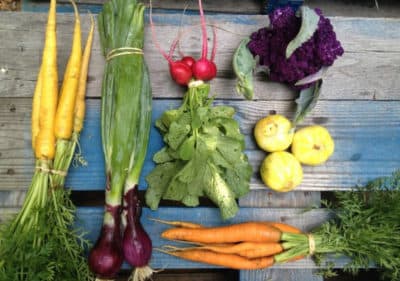 Featuring General Manager Of Allandale Farm, Helen Glotzer