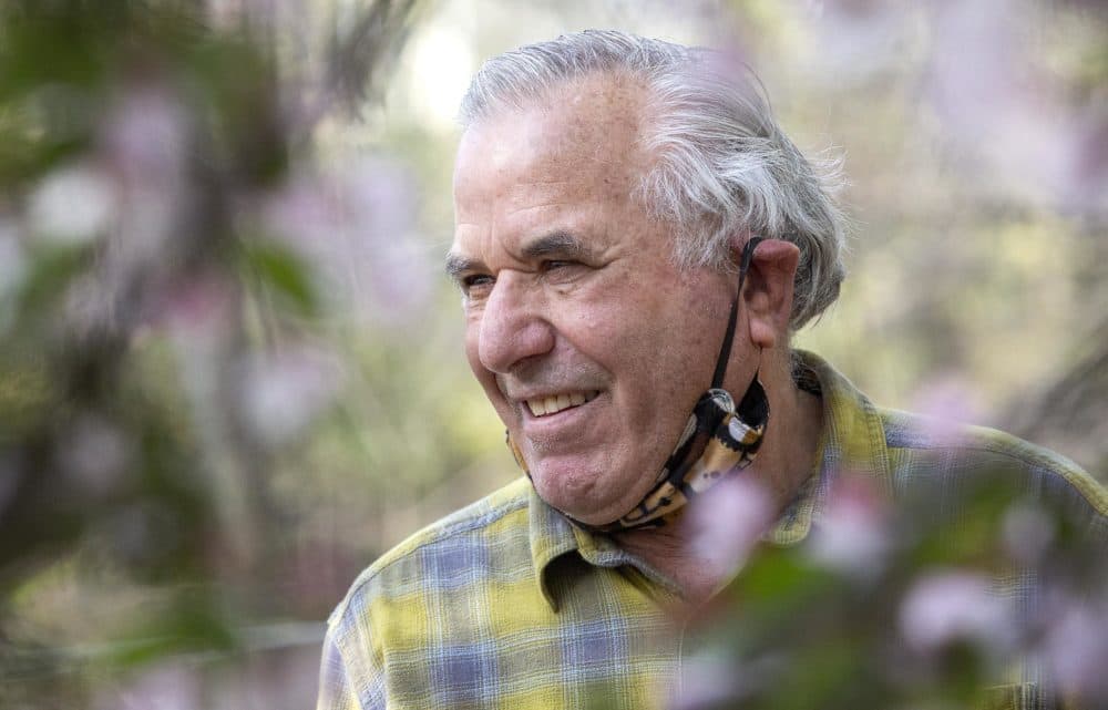 Botanist Peter Del Tredici in the woods by the Charles River in Watertown. (Robin Lubbock/WBUR)