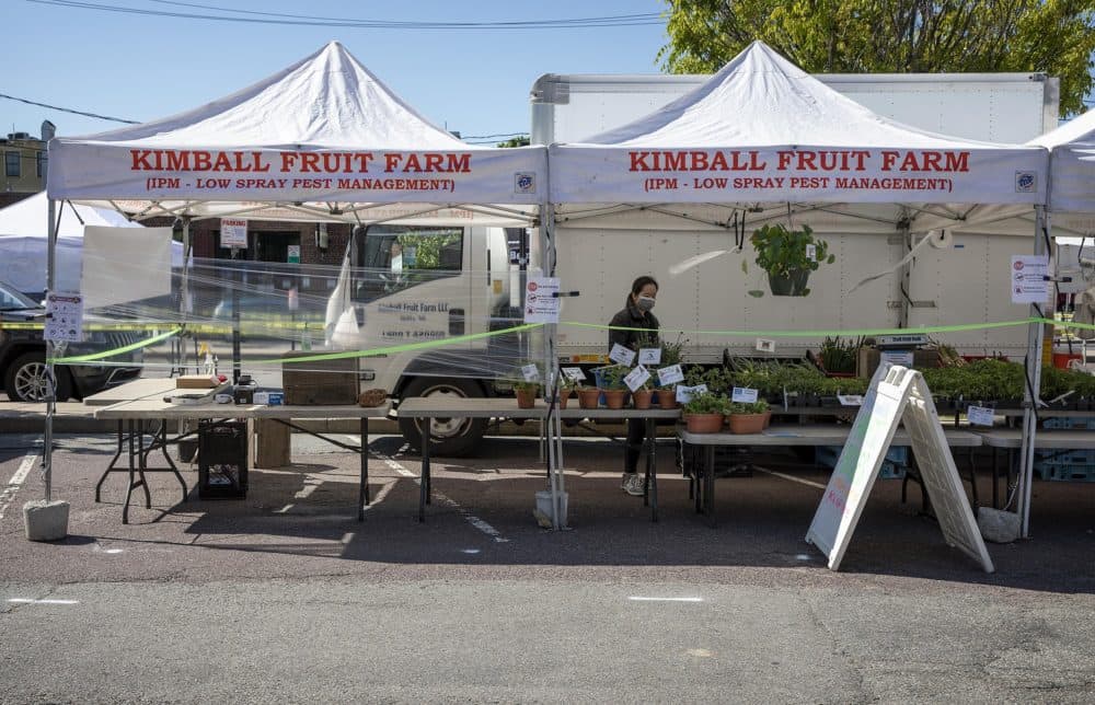 The Kimball Fruit Farm stand set up for social distancing at the Davis Square Farmers Market. (Robin Lubbock/WBUR)