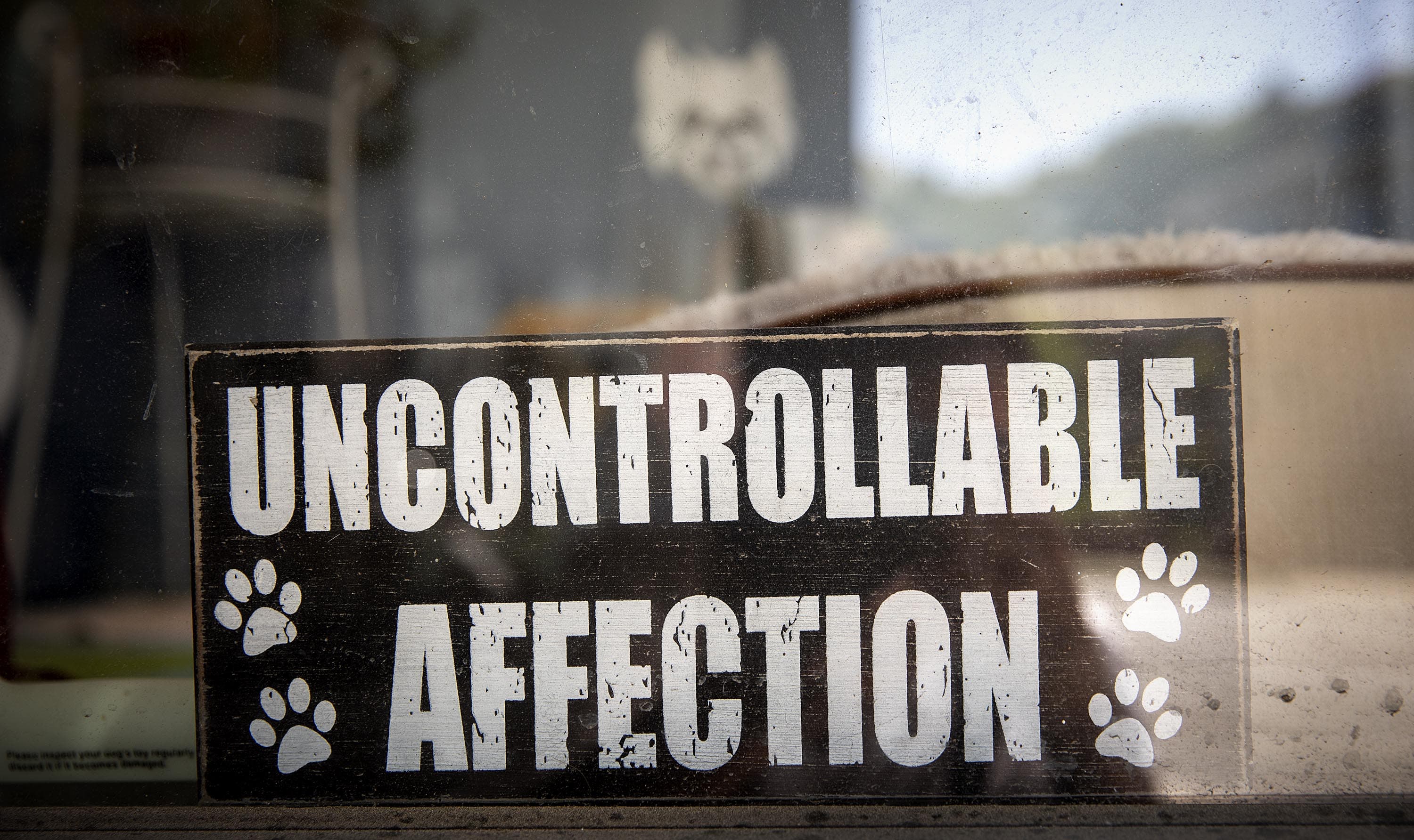 A sign in the window of Gentle Grooms in Belmont. (Robin Lubbock/WBUR)