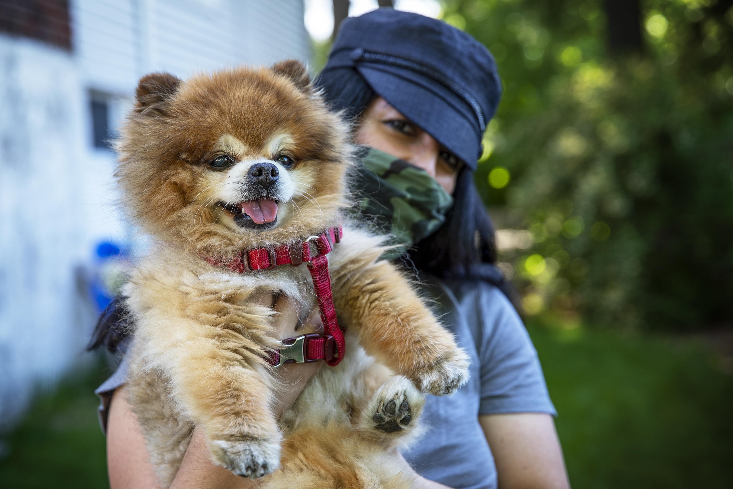 Karen Lalazarian with Neeko, a 14-year-old Pomeranian, near their home in Watertown. (Robin Lubbock/WBUR)
