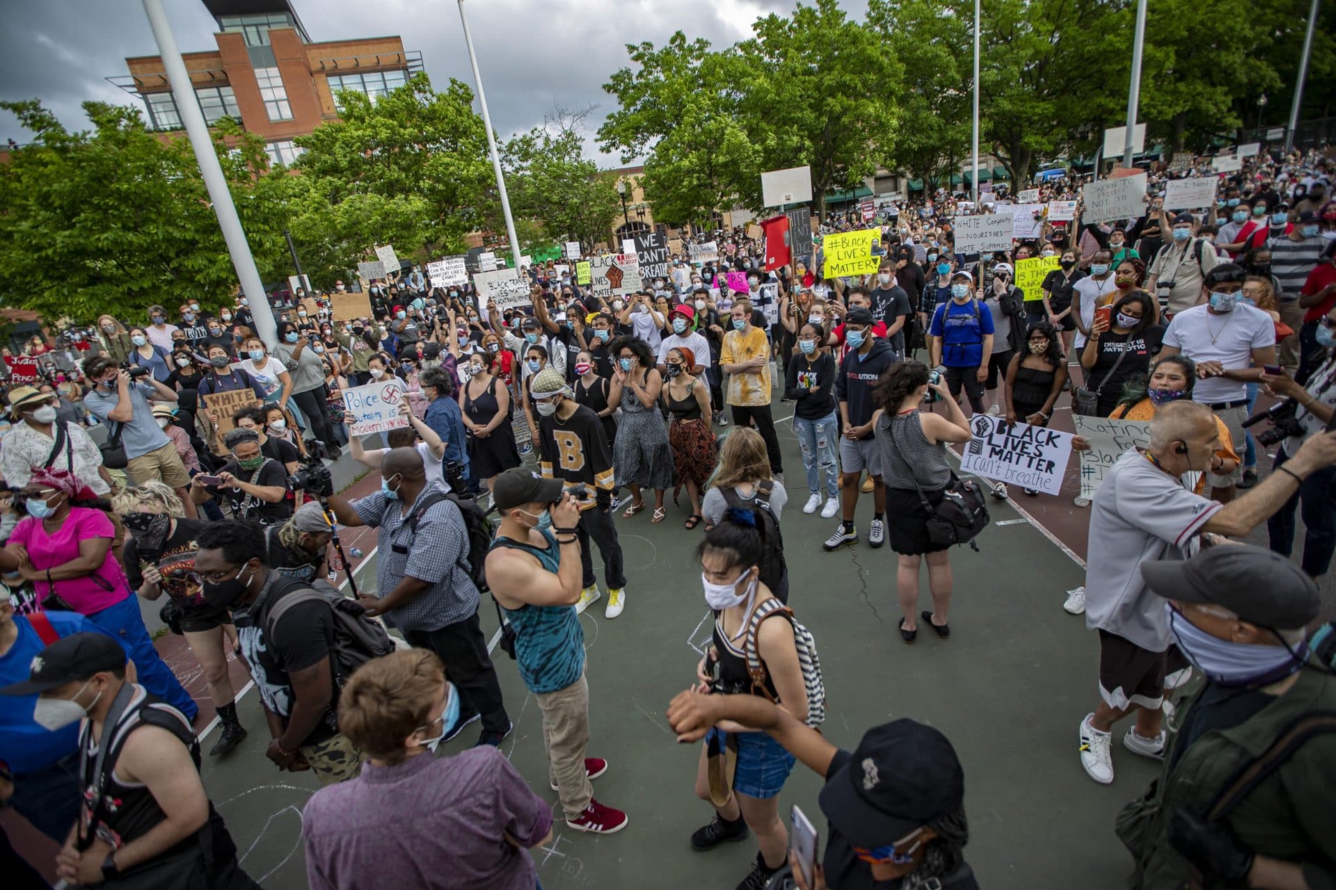 The scene at Peters Park. (Jesse Costa/WBUR