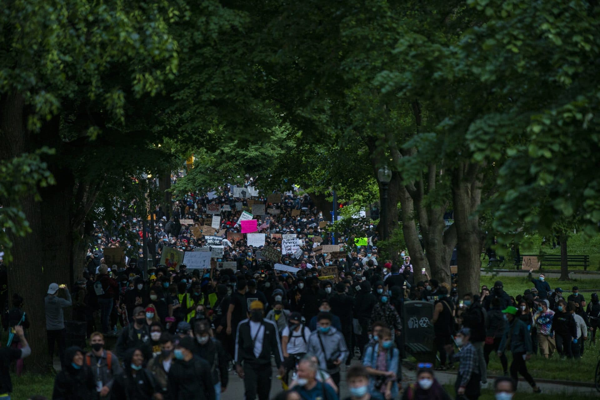 Thousands of protesters arrive in Boston Common on their way to the Massachusetts State House. (Jesse Costa/WBUR)