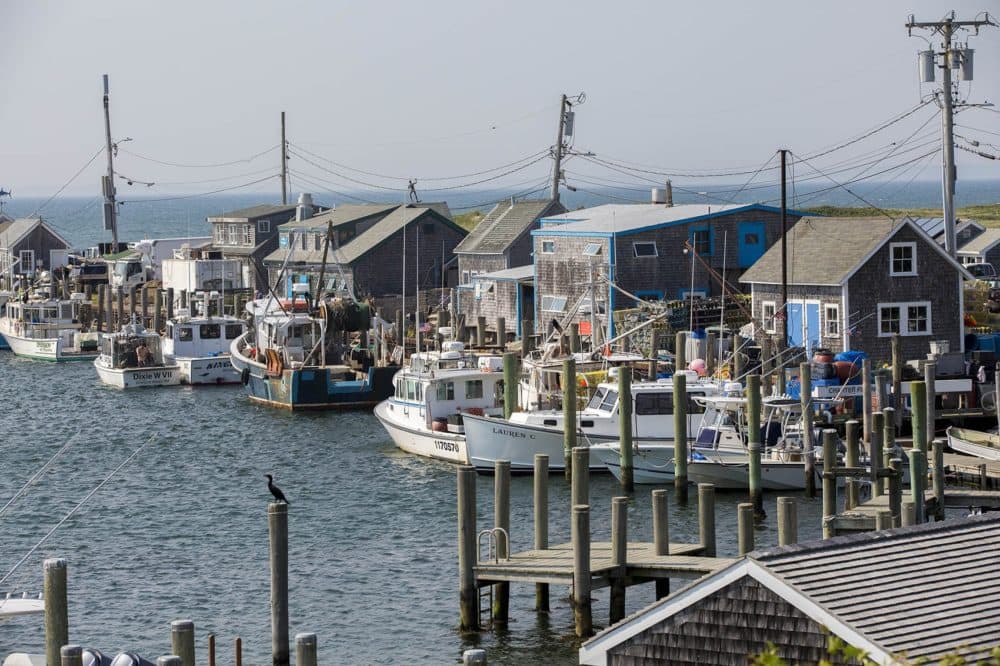 Boats docked at Dutcher.s Dock in Menemsha. (Jesse Costa/WBUR)