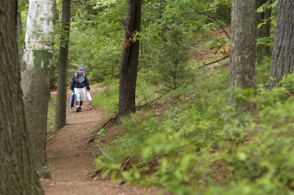 A man walks along the ridge trail at Walden Pond in June 2003. (Elise Amendola/AP)