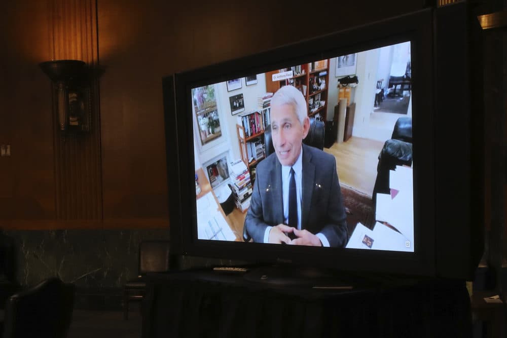Dr. Anthony Fauci, director of the National Institute of Allergy and Infectious Diseases, speaks remotely during a virtual Senate hearing.  (Win McNamee/Pool via AP)