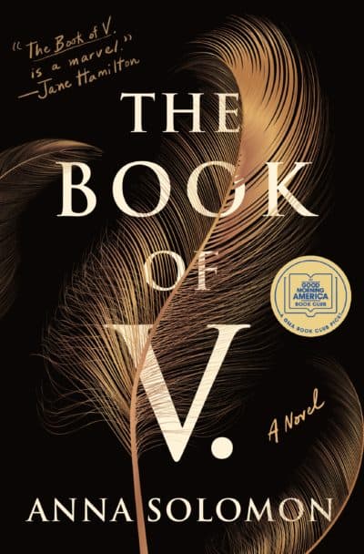 Cover of "Book of V." by Anna Solomon. (Courtesy Henry Holt and Co.)