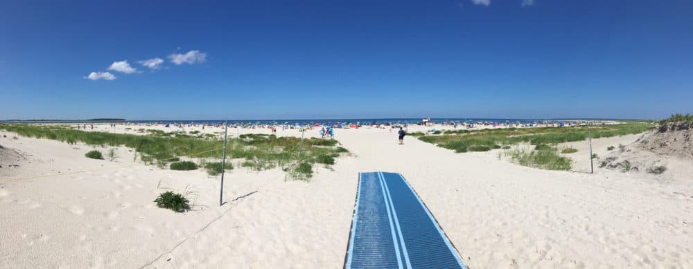 Crane Beach. (Courtesy Trustees)