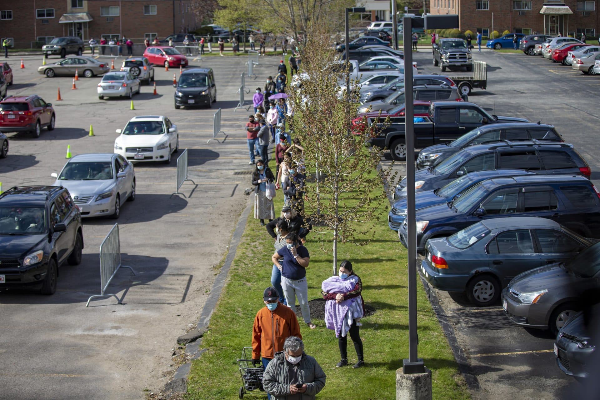 The line for food extends out of the parking lot and down Pond Street at a food pantry at St. Mary Parish in Waltham. (Jesse Costa/WBUR)