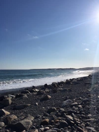 The coast of Gloucester, Massachusetts. (Courtesy Anna Solomon)