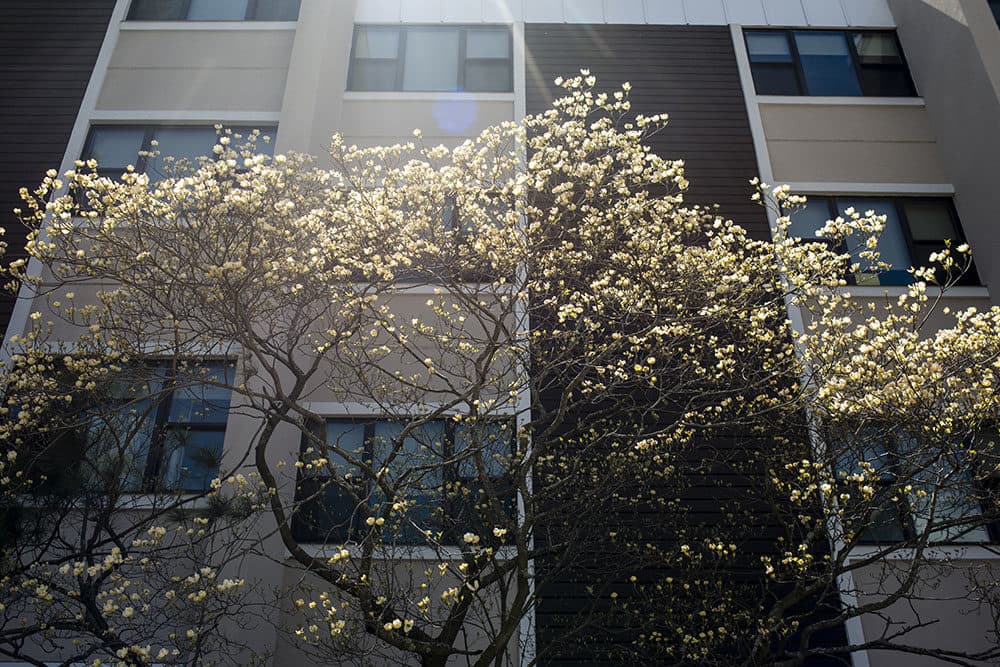 While Lopez recovered from COVID-19, Virginia did not. She died on April 16. (Alex Kay Potter/ProPublica)