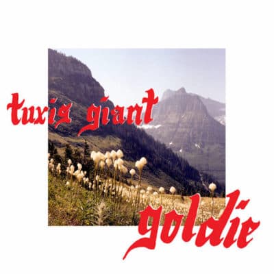 The cover of Tuxis Giant's new album &quot;Goldie.&quot; (Courtesy )