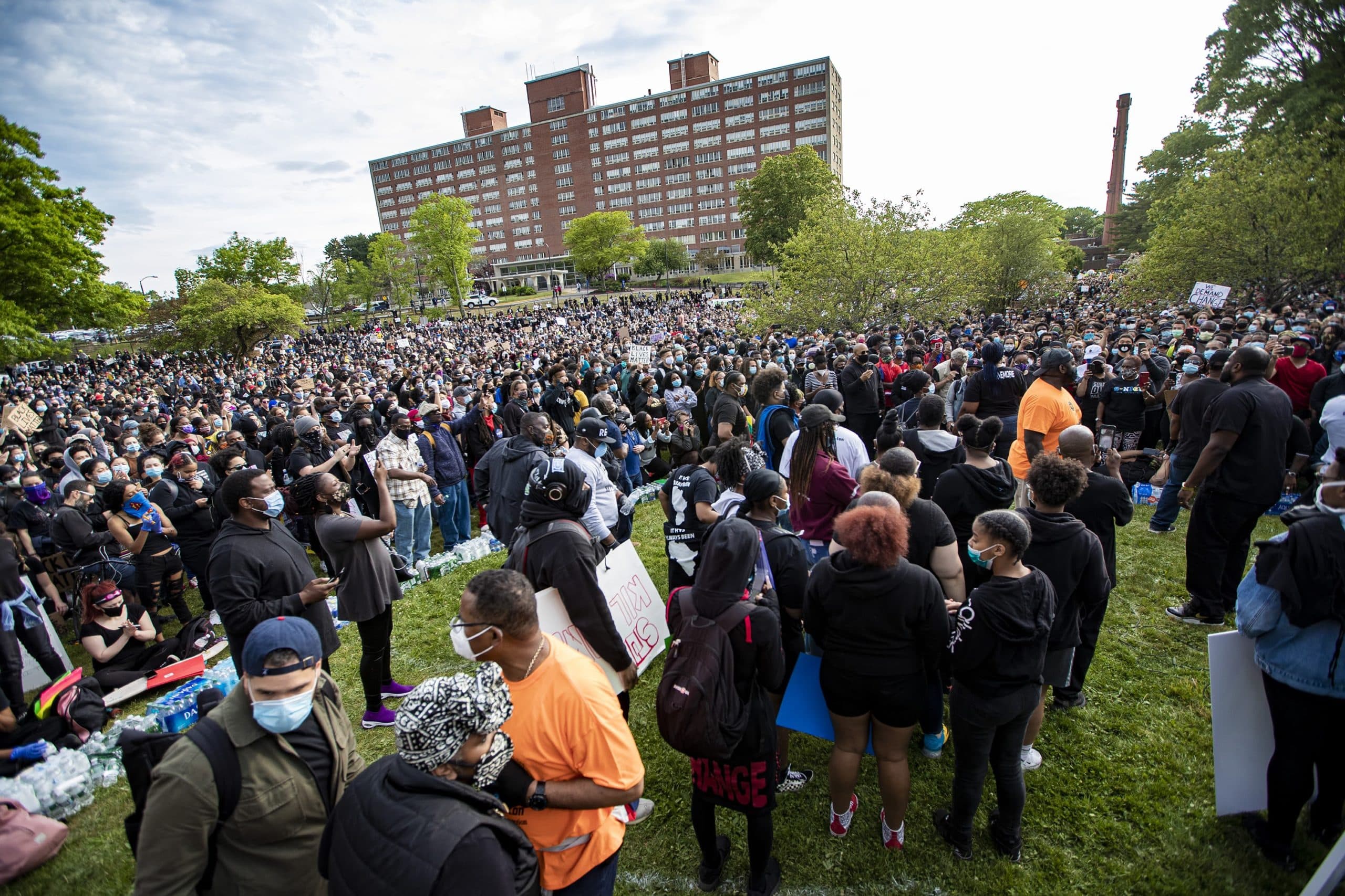 Thousands of protesters gathered in the Shattuck Picnic Grove in Franklin Park during the vigil. (Jesse Costa/WBUR)