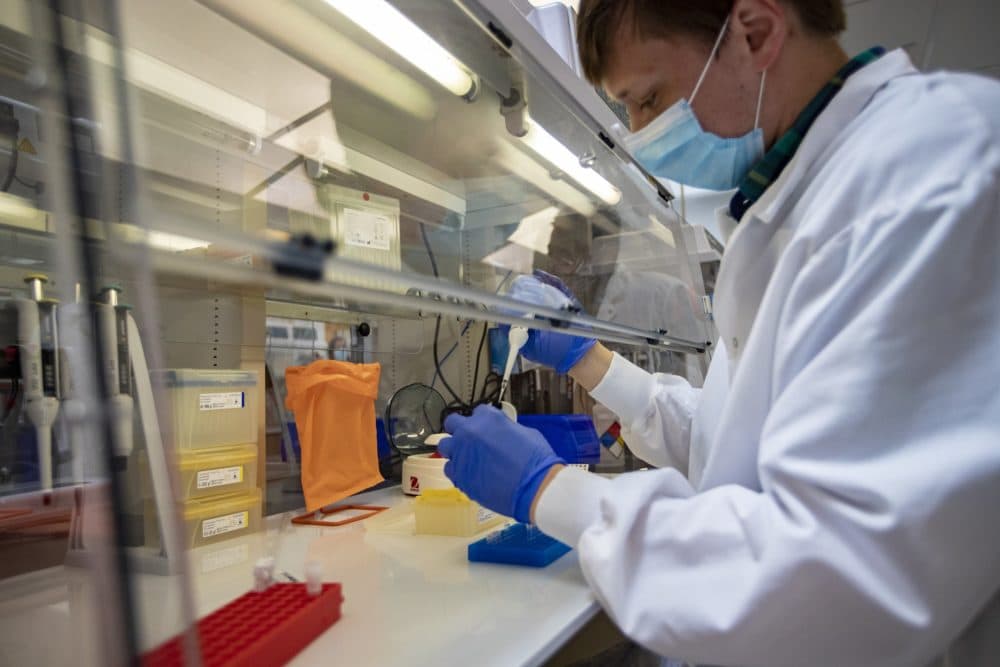 Sherlock Biosciences scientist Paul Carlson. The Cambridge, Mass. company develops coronavirus tests using CRISPR and synthetic biology. (Jesse Costa/WBUR)